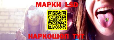 гидропоника Владимир