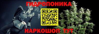 гидропоника Владимир