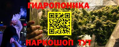 гидропоника Владимир