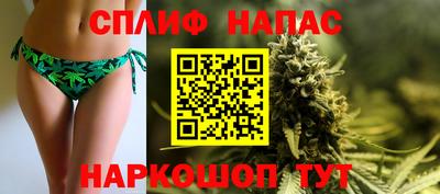 гидропоника Владимир
