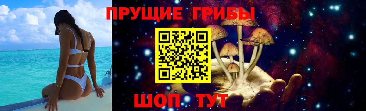 Псилоцибиновые грибы мицелий Камышлов